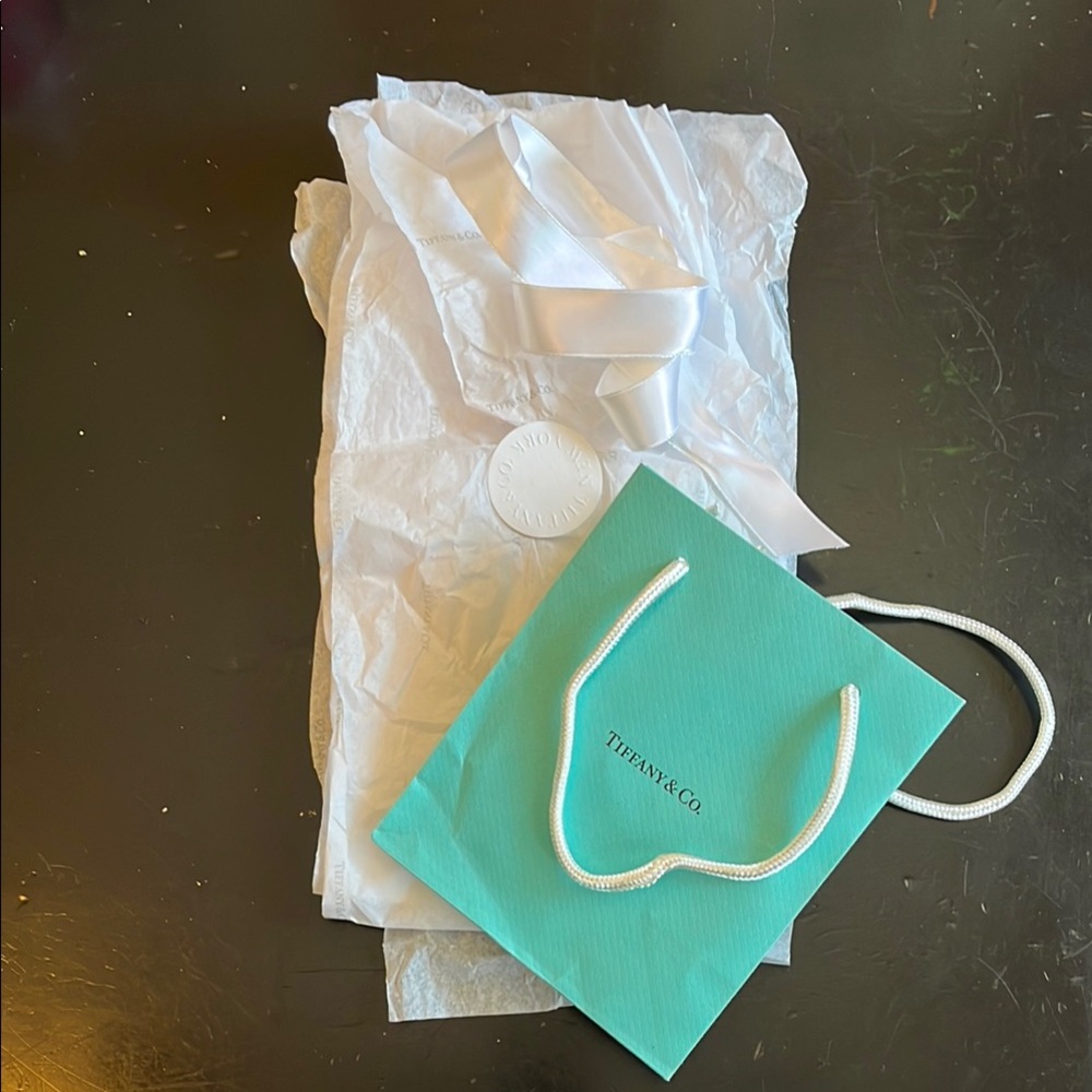 Tiffany & Co. Turquoise Bag with White Cord Tiffany tissue included